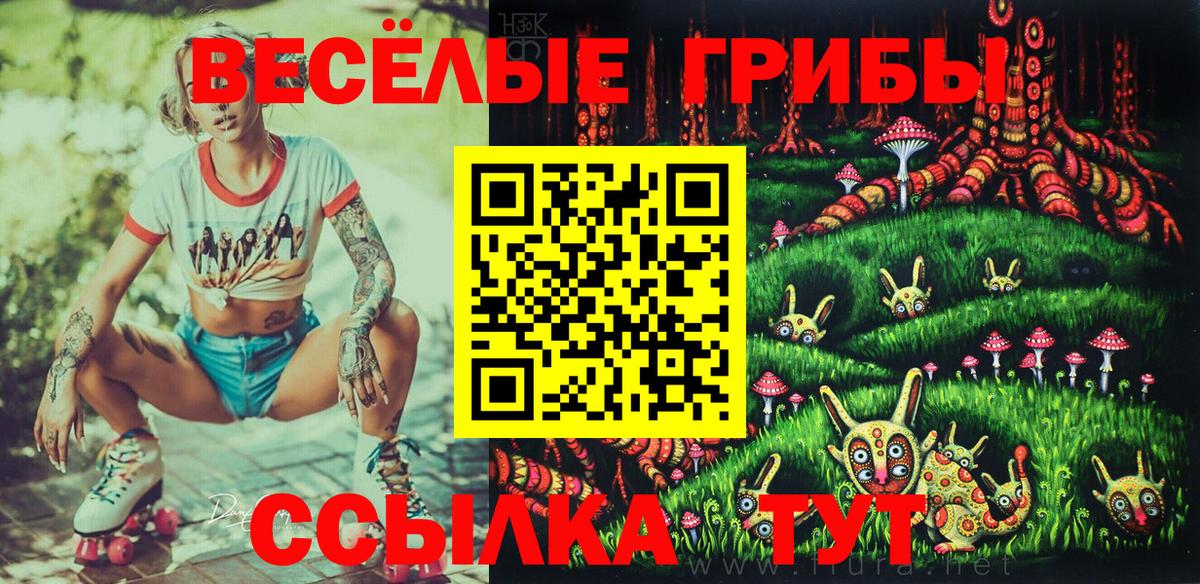 Галлюциногенные грибы Psilocybine cubensis  Галлюциногенные грибы Cubensis  Вход с VPN  Канаш 